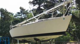 J/24 Sailboat 1981 with trailer
