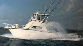 2000 Custom Fino Motion 43" Catamaran 